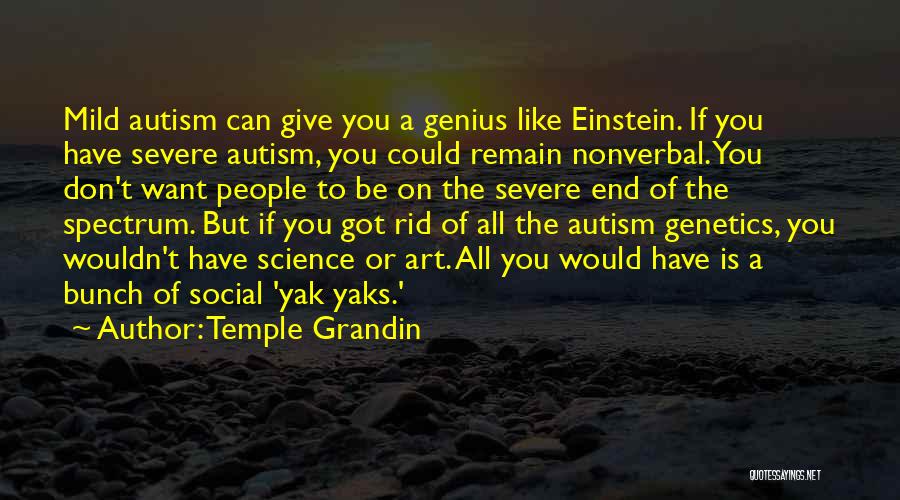 Temple Grandin Quotes: Mild Autism Can Give You A Genius Like Einstein. If You Have Severe Autism, You Could Remain Nonverbal. You Don't