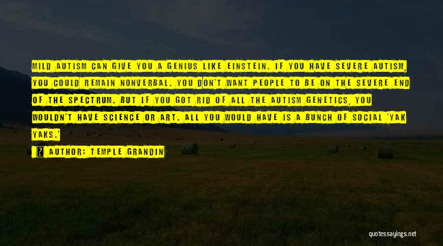 Temple Grandin Quotes: Mild Autism Can Give You A Genius Like Einstein. If You Have Severe Autism, You Could Remain Nonverbal. You Don't