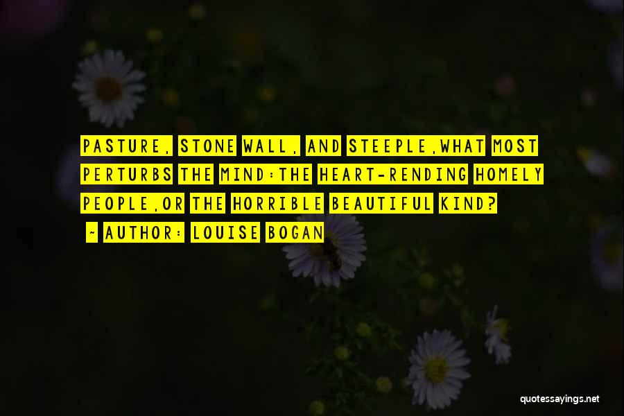 Louise Bogan Quotes: Pasture, Stone Wall, And Steeple,what Most Perturbs The Mind:the Heart-rending Homely People,or The Horrible Beautiful Kind?