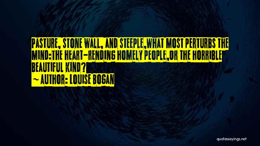 Louise Bogan Quotes: Pasture, Stone Wall, And Steeple,what Most Perturbs The Mind:the Heart-rending Homely People,or The Horrible Beautiful Kind?