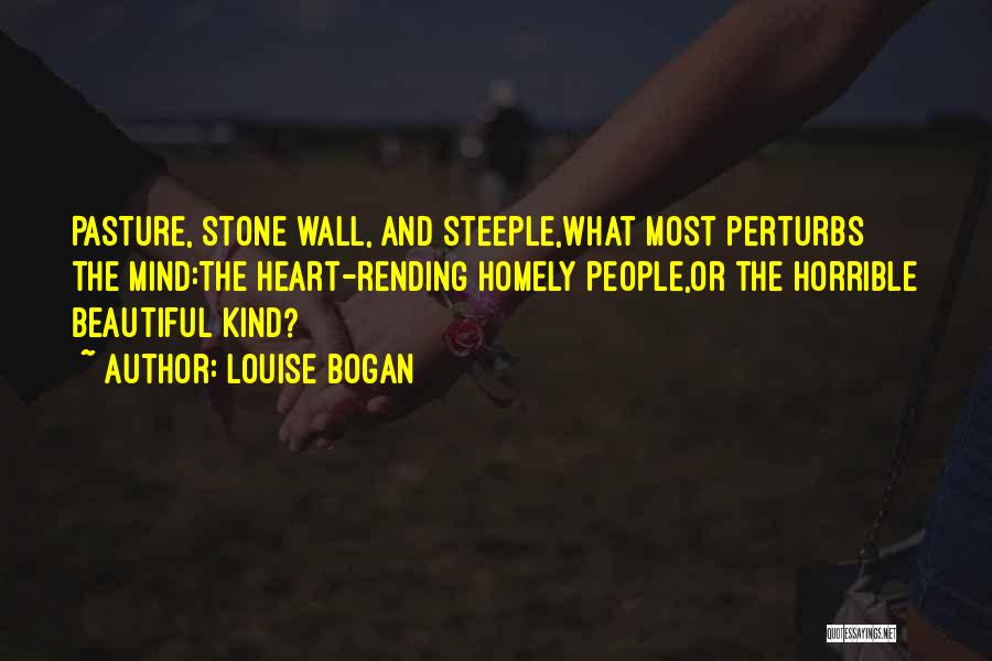 Louise Bogan Quotes: Pasture, Stone Wall, And Steeple,what Most Perturbs The Mind:the Heart-rending Homely People,or The Horrible Beautiful Kind?