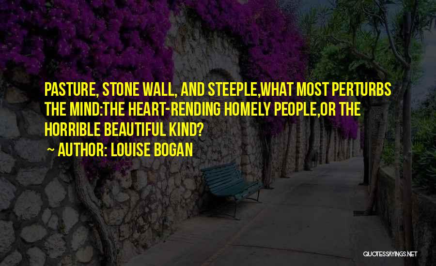 Louise Bogan Quotes: Pasture, Stone Wall, And Steeple,what Most Perturbs The Mind:the Heart-rending Homely People,or The Horrible Beautiful Kind?