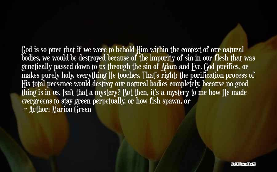 Marion Green Quotes: God Is So Pure That If We Were To Behold Him Within The Context Of Our Natural Bodies, We Would