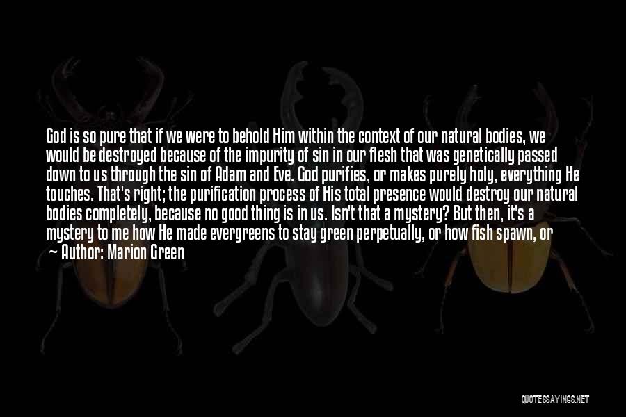 Marion Green Quotes: God Is So Pure That If We Were To Behold Him Within The Context Of Our Natural Bodies, We Would