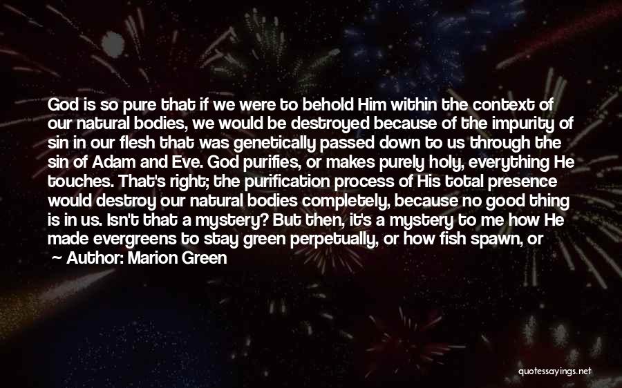 Marion Green Quotes: God Is So Pure That If We Were To Behold Him Within The Context Of Our Natural Bodies, We Would