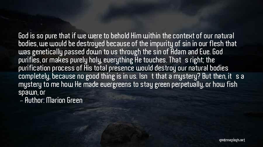 Marion Green Quotes: God Is So Pure That If We Were To Behold Him Within The Context Of Our Natural Bodies, We Would