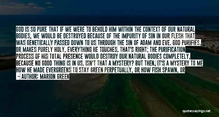 Marion Green Quotes: God Is So Pure That If We Were To Behold Him Within The Context Of Our Natural Bodies, We Would