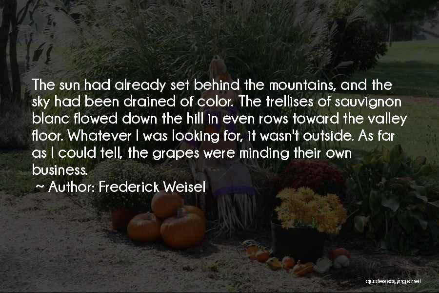 Frederick Weisel Quotes: The Sun Had Already Set Behind The Mountains, And The Sky Had Been Drained Of Color. The Trellises Of Sauvignon