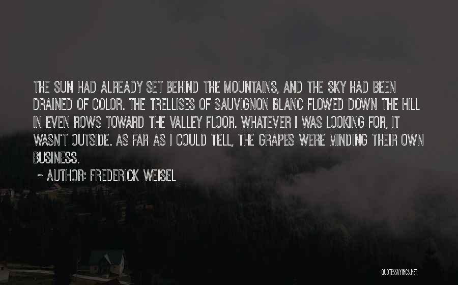 Frederick Weisel Quotes: The Sun Had Already Set Behind The Mountains, And The Sky Had Been Drained Of Color. The Trellises Of Sauvignon