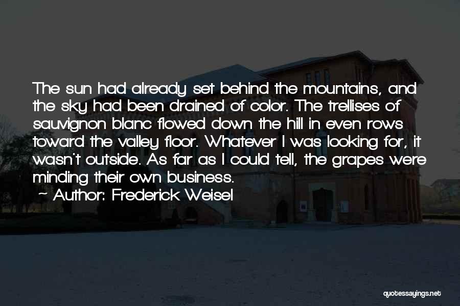 Frederick Weisel Quotes: The Sun Had Already Set Behind The Mountains, And The Sky Had Been Drained Of Color. The Trellises Of Sauvignon