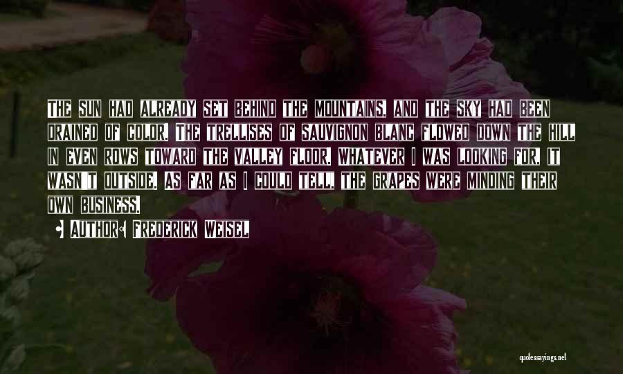 Frederick Weisel Quotes: The Sun Had Already Set Behind The Mountains, And The Sky Had Been Drained Of Color. The Trellises Of Sauvignon