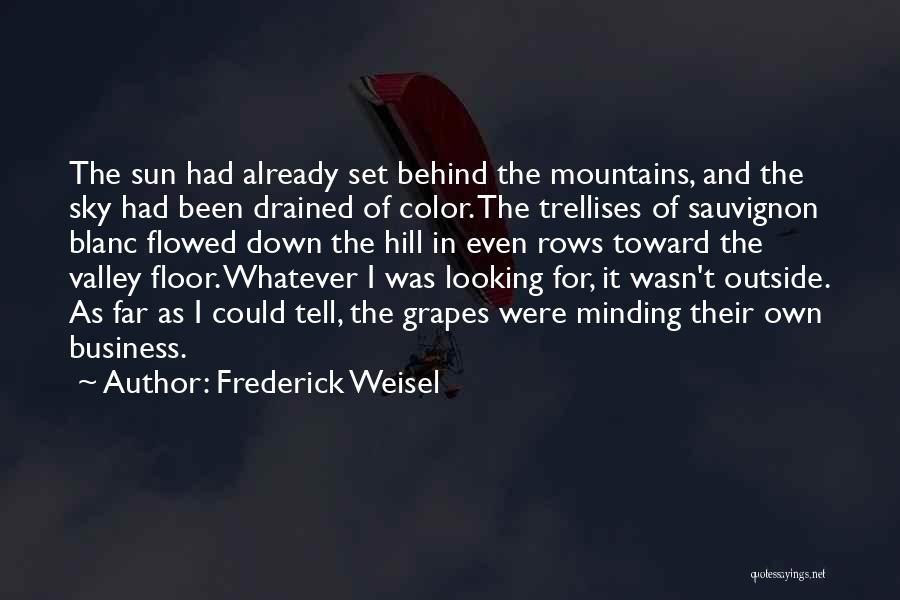 Frederick Weisel Quotes: The Sun Had Already Set Behind The Mountains, And The Sky Had Been Drained Of Color. The Trellises Of Sauvignon