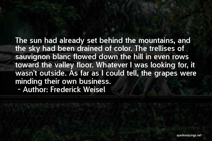 Frederick Weisel Quotes: The Sun Had Already Set Behind The Mountains, And The Sky Had Been Drained Of Color. The Trellises Of Sauvignon