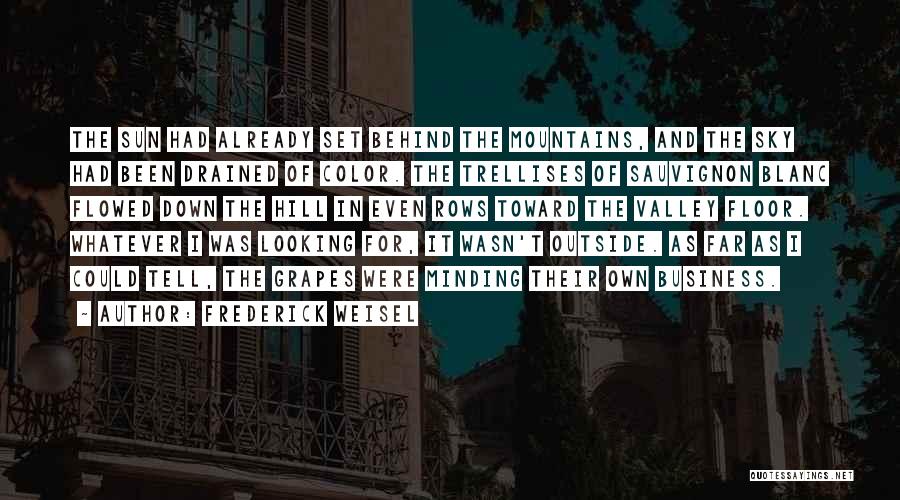 Frederick Weisel Quotes: The Sun Had Already Set Behind The Mountains, And The Sky Had Been Drained Of Color. The Trellises Of Sauvignon