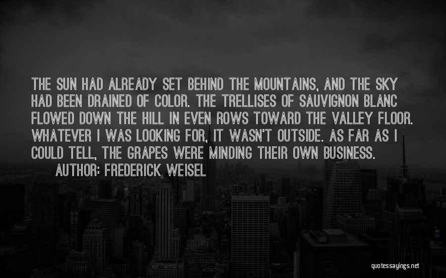 Frederick Weisel Quotes: The Sun Had Already Set Behind The Mountains, And The Sky Had Been Drained Of Color. The Trellises Of Sauvignon