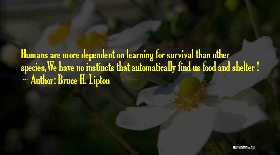 Bruce H. Lipton Quotes: Humans Are More Dependent On Learning For Survival Than Other Species,we Have No Instincts That Automatically Find Us Food And