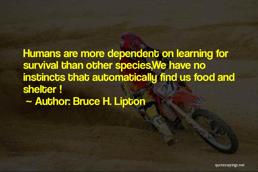 Bruce H. Lipton Quotes: Humans Are More Dependent On Learning For Survival Than Other Species,we Have No Instincts That Automatically Find Us Food And