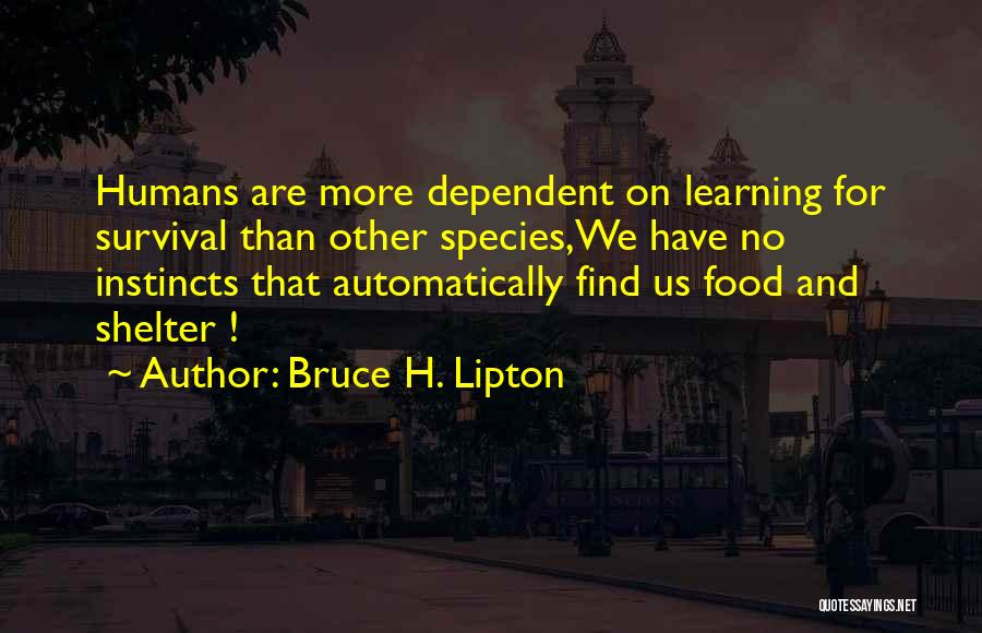 Bruce H. Lipton Quotes: Humans Are More Dependent On Learning For Survival Than Other Species,we Have No Instincts That Automatically Find Us Food And