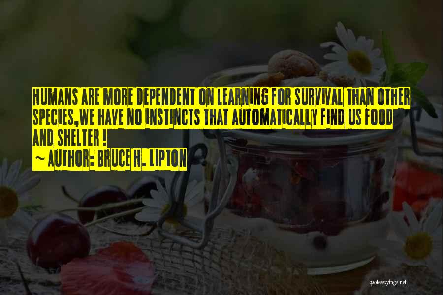 Bruce H. Lipton Quotes: Humans Are More Dependent On Learning For Survival Than Other Species,we Have No Instincts That Automatically Find Us Food And