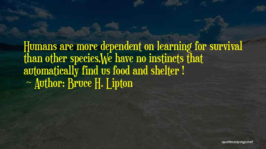 Bruce H. Lipton Quotes: Humans Are More Dependent On Learning For Survival Than Other Species,we Have No Instincts That Automatically Find Us Food And