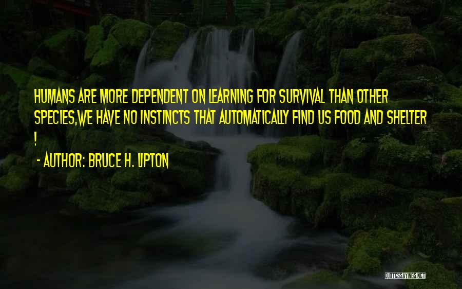 Bruce H. Lipton Quotes: Humans Are More Dependent On Learning For Survival Than Other Species,we Have No Instincts That Automatically Find Us Food And