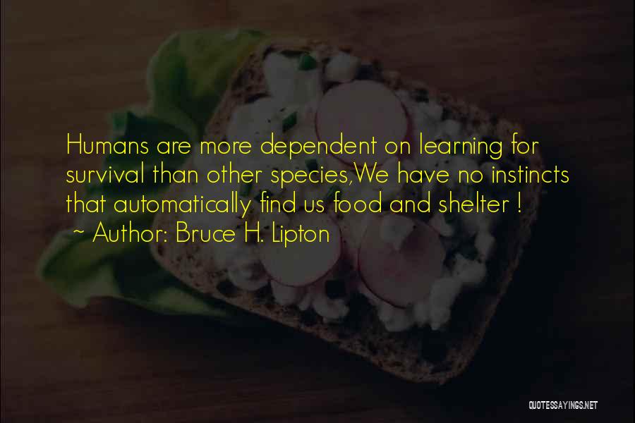 Bruce H. Lipton Quotes: Humans Are More Dependent On Learning For Survival Than Other Species,we Have No Instincts That Automatically Find Us Food And