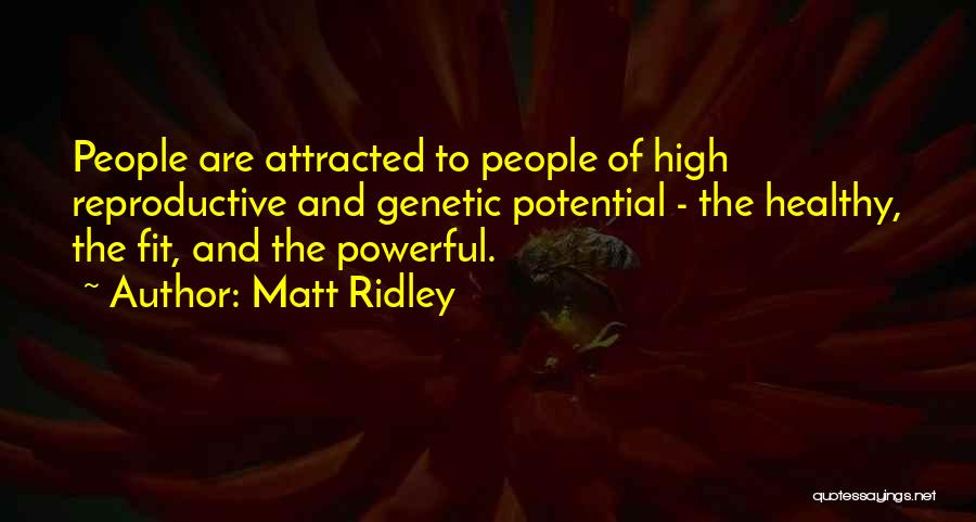 Matt Ridley Quotes: People Are Attracted To People Of High Reproductive And Genetic Potential - The Healthy, The Fit, And The Powerful.