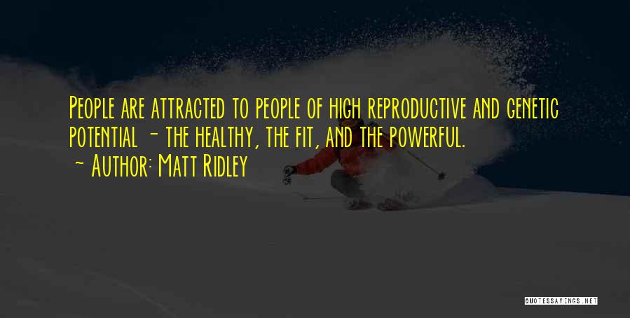 Matt Ridley Quotes: People Are Attracted To People Of High Reproductive And Genetic Potential - The Healthy, The Fit, And The Powerful.