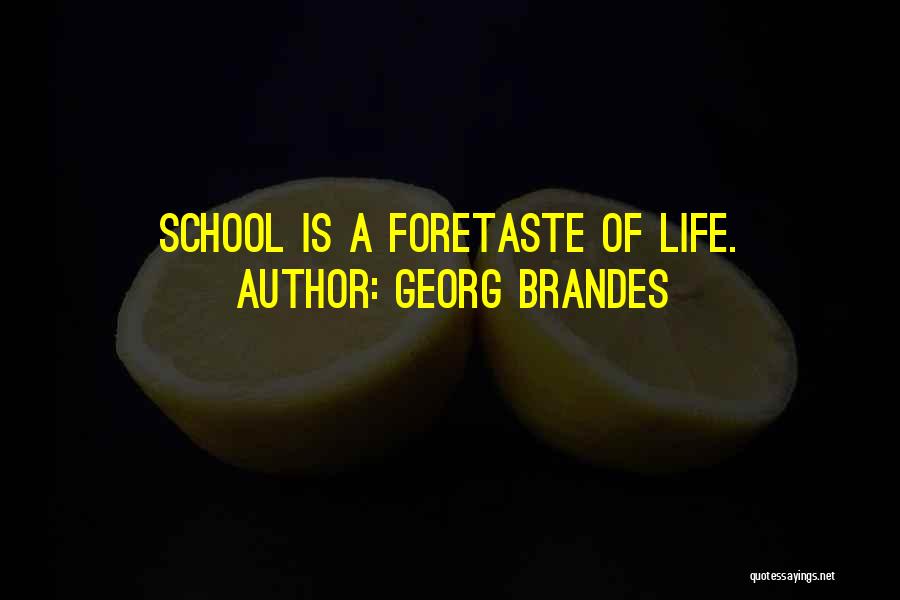 Georg Brandes Quotes: School Is A Foretaste Of Life.