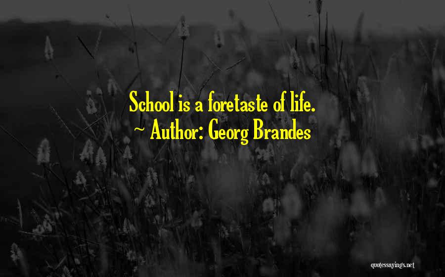 Georg Brandes Quotes: School Is A Foretaste Of Life.