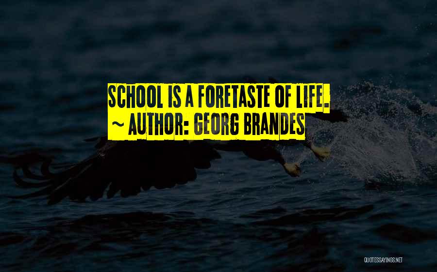 Georg Brandes Quotes: School Is A Foretaste Of Life.