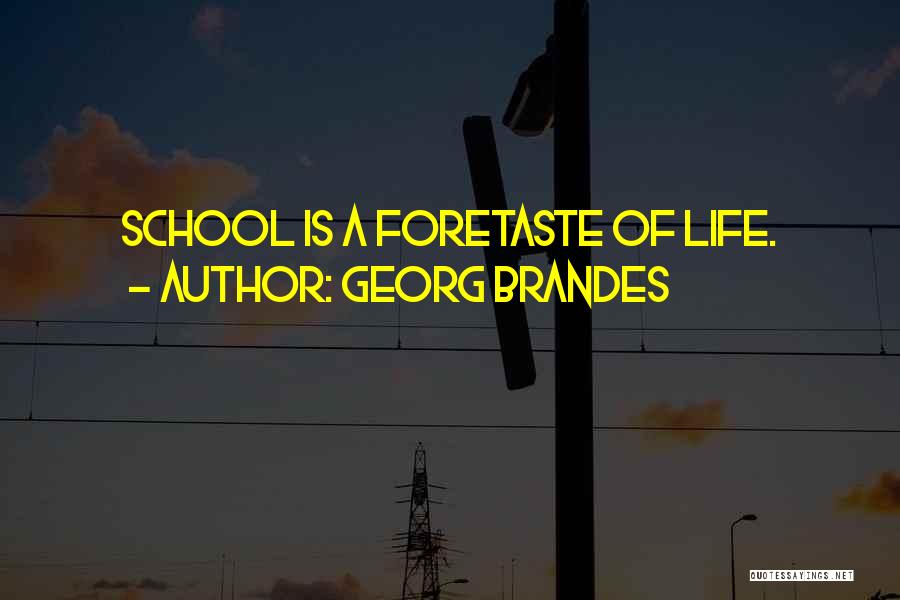Georg Brandes Quotes: School Is A Foretaste Of Life.
