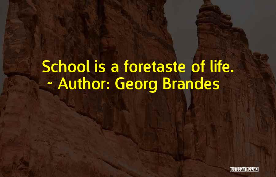 Georg Brandes Quotes: School Is A Foretaste Of Life.