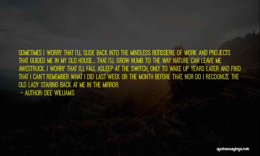 Dee Williams Quotes: Sometimes I Worry That I'll Slide Back Into The Mindless Rotisserie Of Work And Projects That Guided Me In My