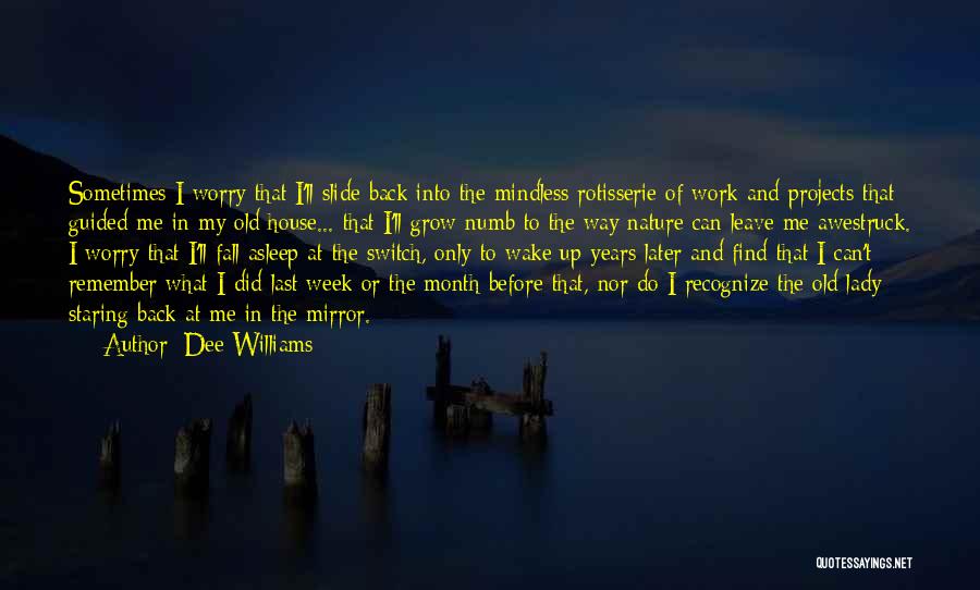 Dee Williams Quotes: Sometimes I Worry That I'll Slide Back Into The Mindless Rotisserie Of Work And Projects That Guided Me In My