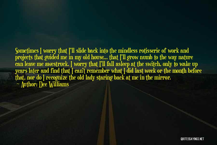 Dee Williams Quotes: Sometimes I Worry That I'll Slide Back Into The Mindless Rotisserie Of Work And Projects That Guided Me In My