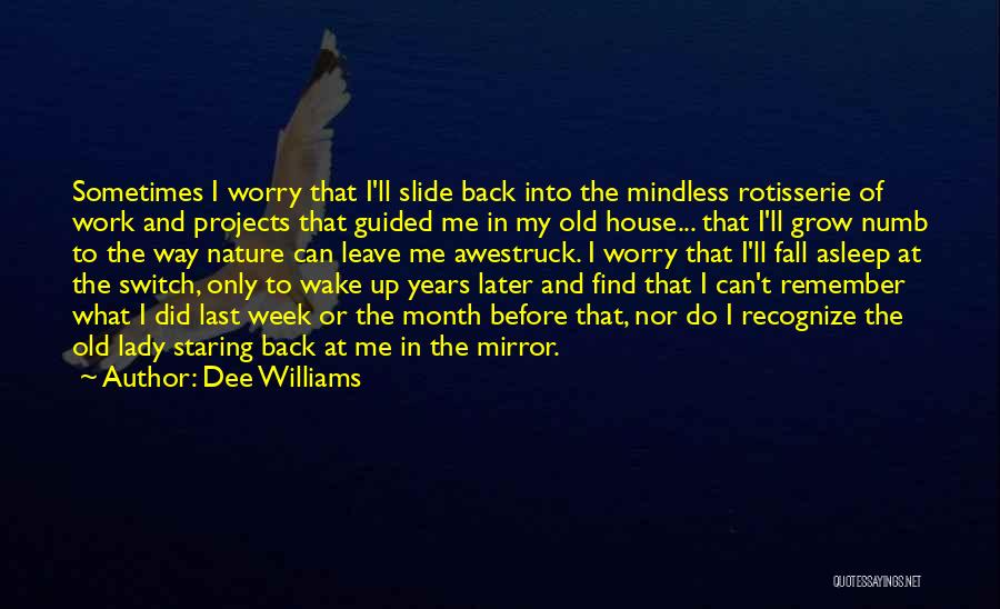 Dee Williams Quotes: Sometimes I Worry That I'll Slide Back Into The Mindless Rotisserie Of Work And Projects That Guided Me In My