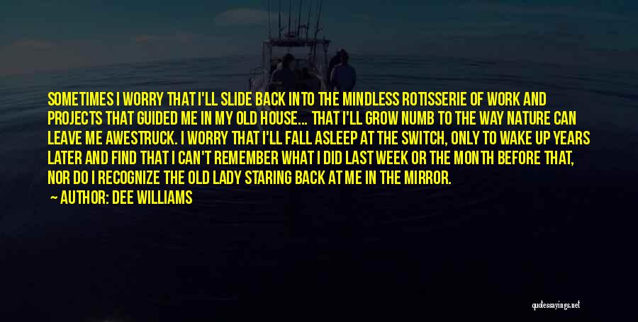 Dee Williams Quotes: Sometimes I Worry That I'll Slide Back Into The Mindless Rotisserie Of Work And Projects That Guided Me In My