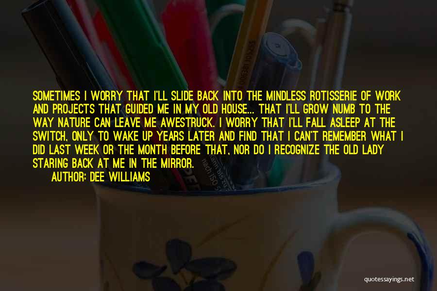 Dee Williams Quotes: Sometimes I Worry That I'll Slide Back Into The Mindless Rotisserie Of Work And Projects That Guided Me In My