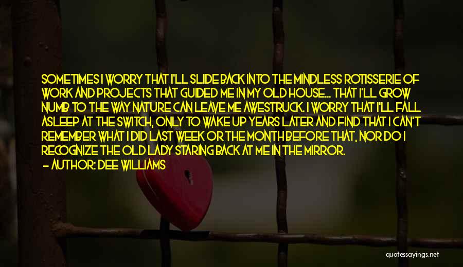 Dee Williams Quotes: Sometimes I Worry That I'll Slide Back Into The Mindless Rotisserie Of Work And Projects That Guided Me In My