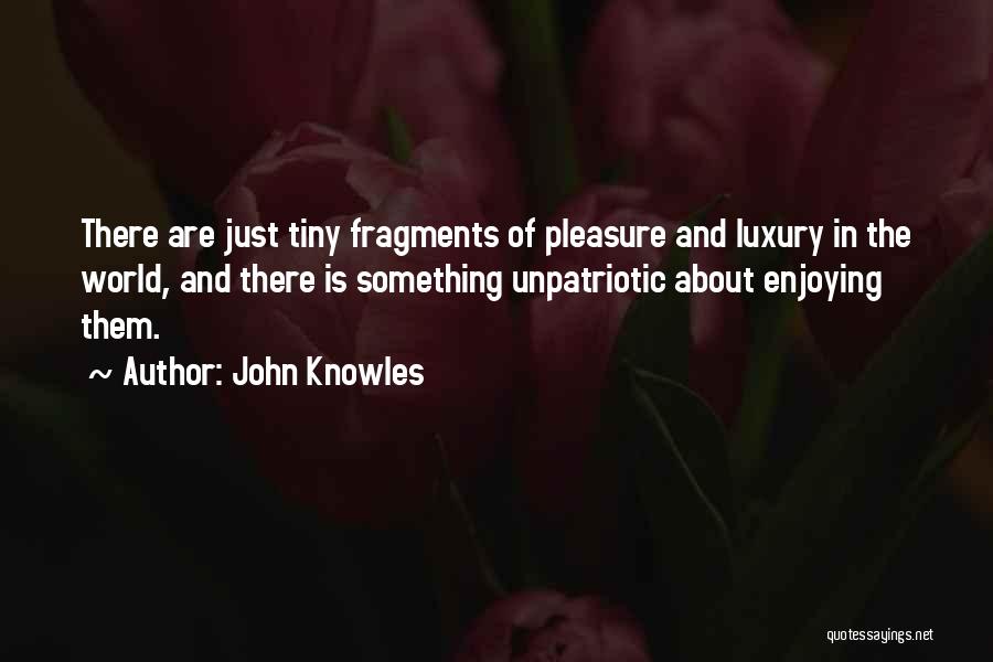 John Knowles Quotes: There Are Just Tiny Fragments Of Pleasure And Luxury In The World, And There Is Something Unpatriotic About Enjoying Them.
