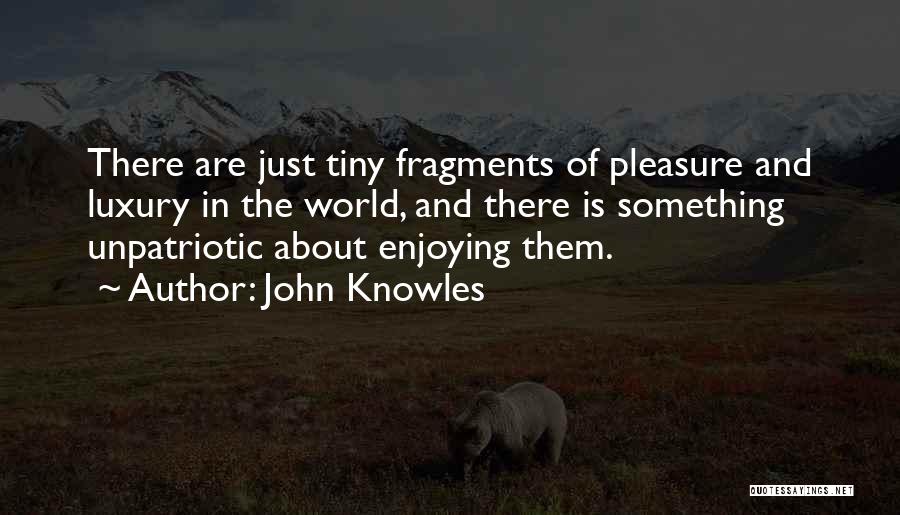John Knowles Quotes: There Are Just Tiny Fragments Of Pleasure And Luxury In The World, And There Is Something Unpatriotic About Enjoying Them.