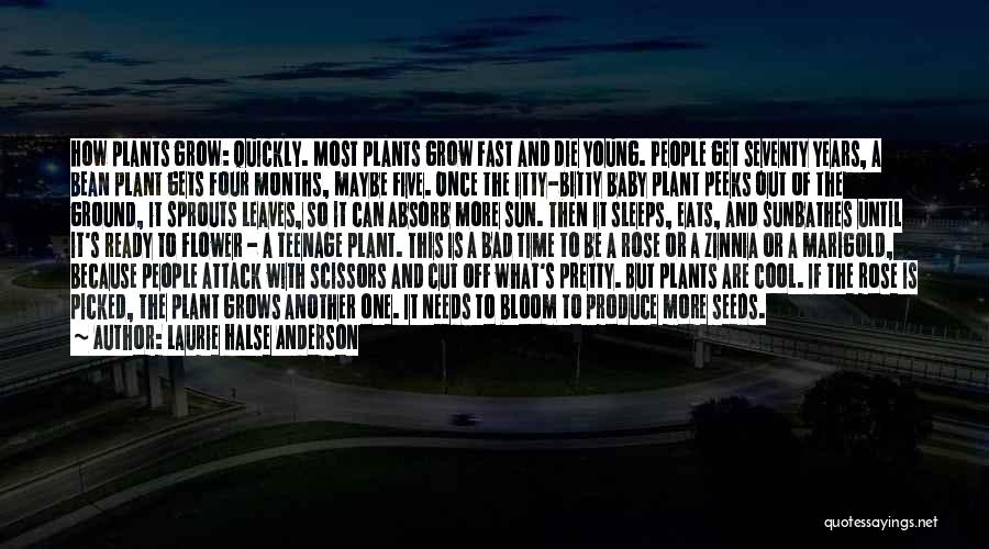 Laurie Halse Anderson Quotes: How Plants Grow: Quickly. Most Plants Grow Fast And Die Young. People Get Seventy Years, A Bean Plant Gets Four