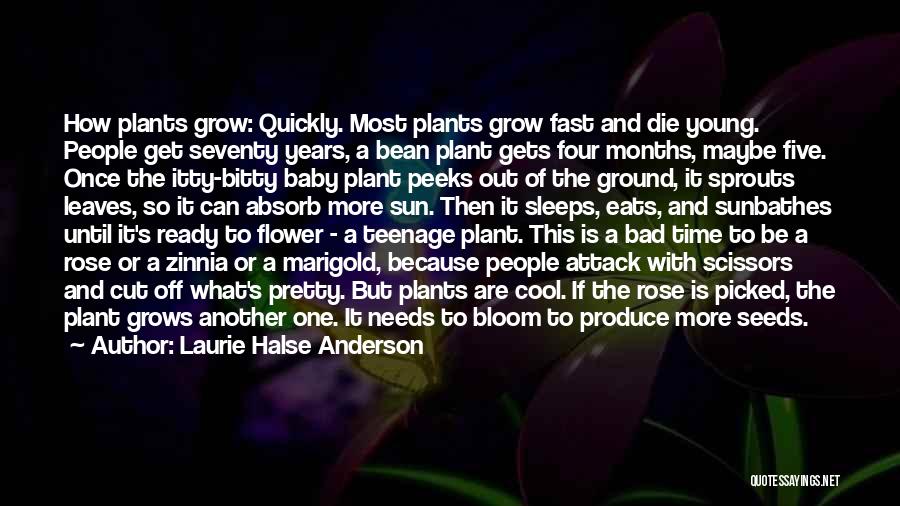 Laurie Halse Anderson Quotes: How Plants Grow: Quickly. Most Plants Grow Fast And Die Young. People Get Seventy Years, A Bean Plant Gets Four