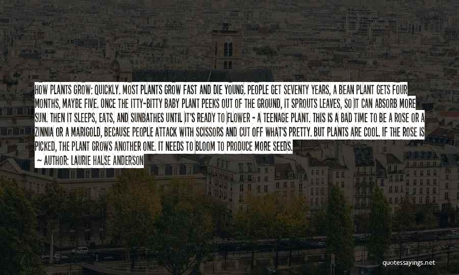 Laurie Halse Anderson Quotes: How Plants Grow: Quickly. Most Plants Grow Fast And Die Young. People Get Seventy Years, A Bean Plant Gets Four