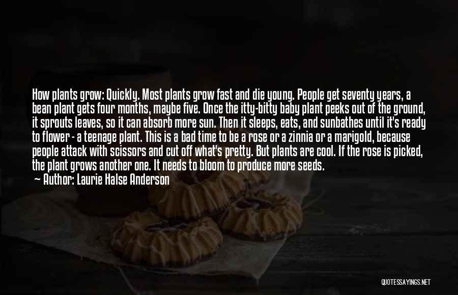 Laurie Halse Anderson Quotes: How Plants Grow: Quickly. Most Plants Grow Fast And Die Young. People Get Seventy Years, A Bean Plant Gets Four