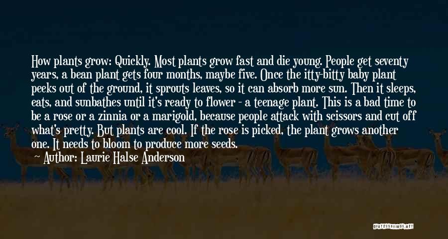 Laurie Halse Anderson Quotes: How Plants Grow: Quickly. Most Plants Grow Fast And Die Young. People Get Seventy Years, A Bean Plant Gets Four