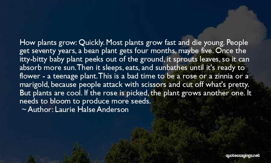 Laurie Halse Anderson Quotes: How Plants Grow: Quickly. Most Plants Grow Fast And Die Young. People Get Seventy Years, A Bean Plant Gets Four