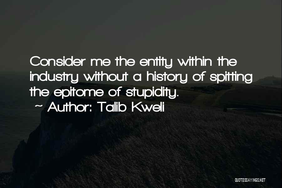 Talib Kweli Quotes: Consider Me The Entity Within The Industry Without A History Of Spitting The Epitome Of Stupidity.