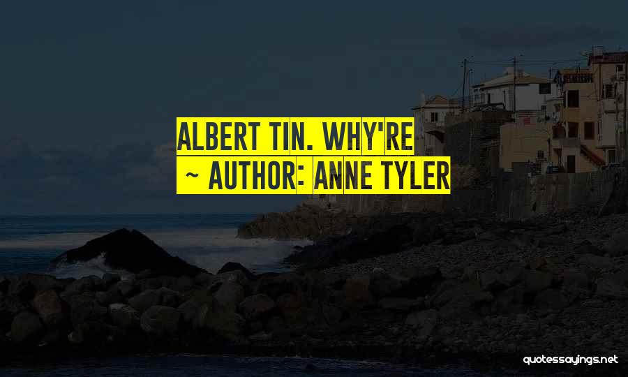 Anne Tyler Quotes: Albert Tin. Why're